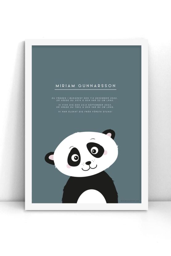 Adoptionsposter med panda (blå bakgrund)