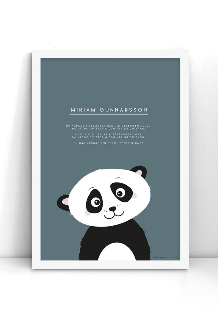 Adoptionsposter med panda (blå bakgrund)