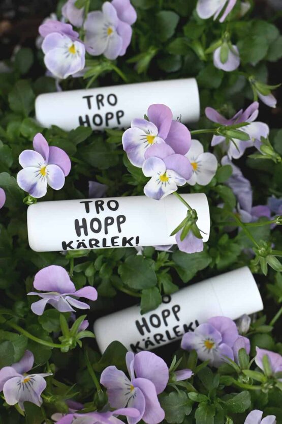 Cerat med hylsa av återvunnen plast: Tro, hopp, kärlek